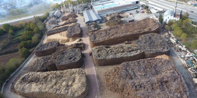 Orman Ürünlerinden Milli Ekonomiye Büyük Katkı