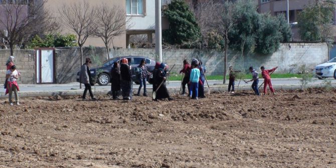 Kızıltepe’de ‘Bir Fidan Bir Kadın’ Programı