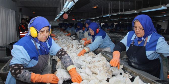 Ekmeklerini Taştan Çıkaran Kadınlar