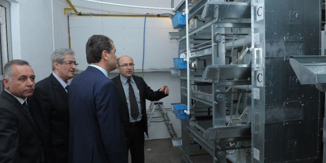 Vali Çelik, Damızlık Tavuk Islahı Enstitüsü Üretim İstasyonunda İnceleme Yaptı