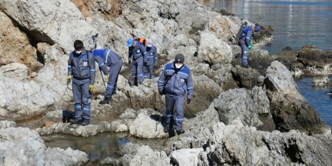Alanya Ve Akseki’de Sinekle Mücadele