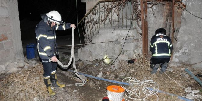 Kuyuya Düşen Kedi 2 Günde Kurtarıldı