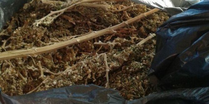 Şüphe Üzerine Durdurulan Araçtan 1 Kilo Esrar Çıktı