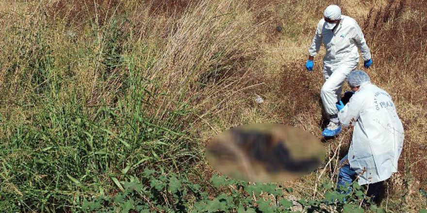 Manisa’da Yol Kenarında Ceset Bulundu