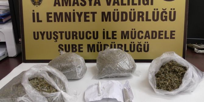 Amasya’da 850 Gram Bonzai Ele Geçirildi