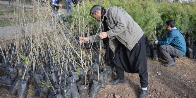 Siverek’te Halka Ücretsiz Fidan Dağıtıldı