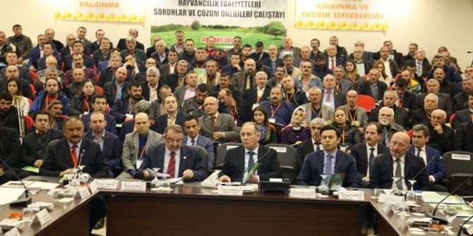 Artvin’de Hayvancılık Sektörünün Sorunları Ve Çözüm Önerileri Konuşuldu