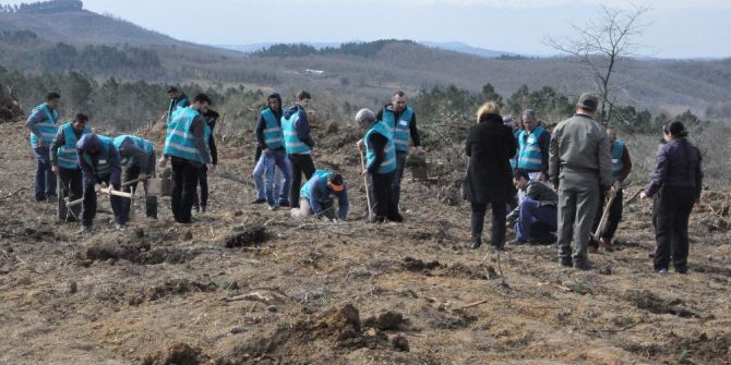 Gebze’de 50 Denetimli Serbestlik Hükümlüsü 5 Bin Fidan Dikti