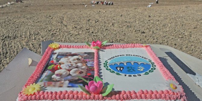 Sarımsak Diken Kadınlara, Tarlanın Ortasında Pasta Sürprizi