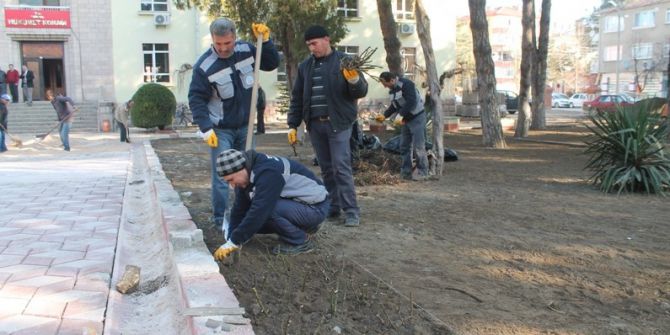 Turhal Hükümet Konağı Bahçesine Bin 500 Gül Dikilecek