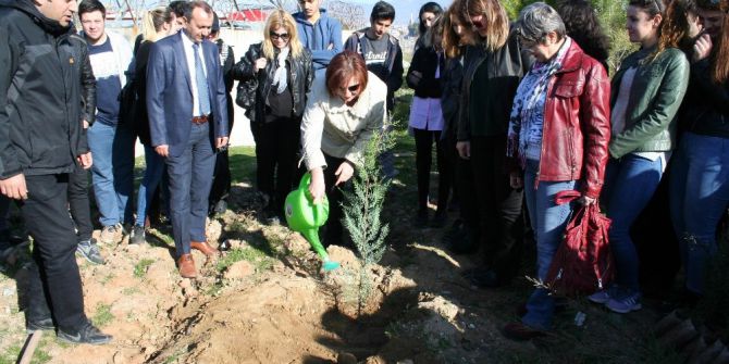 Kıbrıs’ta Yapılan Uluslararası Kongrenin Karbon Ayak İzini Aydın’da Sıfırlandı