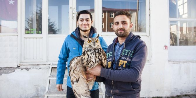 Yaralı Baykuşa Duyarlı Gençler Sahip Çıktı