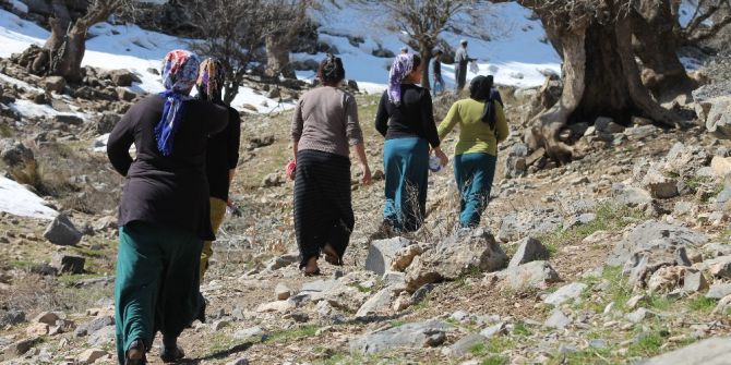 Pancar Toplamak İçin 4 Kilometre Yürüyorlar