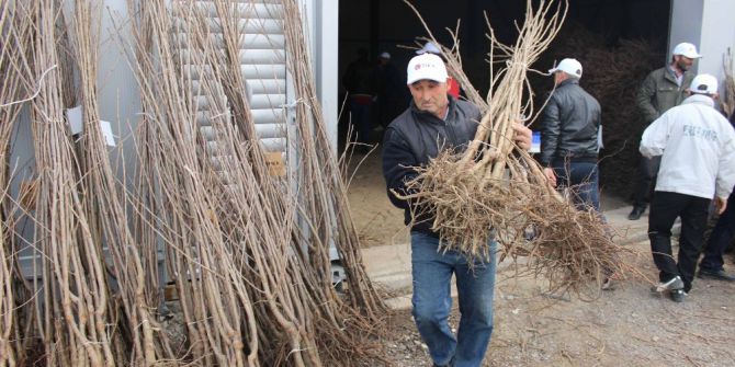 Makedonya’da Meyveciliğin Geliştirilmesine Destek