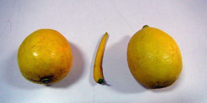 Biber Görünümlü Limon