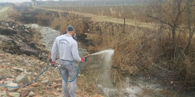 Turgutlu’da Açık Alanlarda İlaçlama Başladı