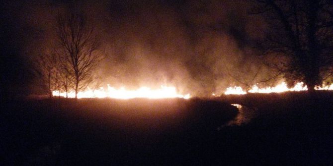 Sakarya’da 5 Hektarlık Sazlık Alan Yandı