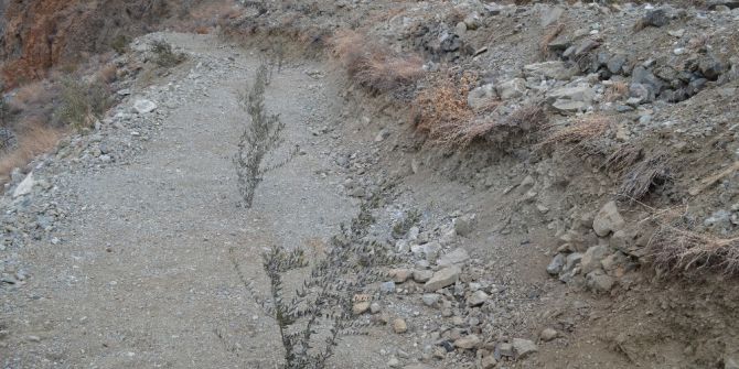 Artvin’de 3 Bin 480 Dekar Orman Alanı Orman Köylüsünün Hizmetinde