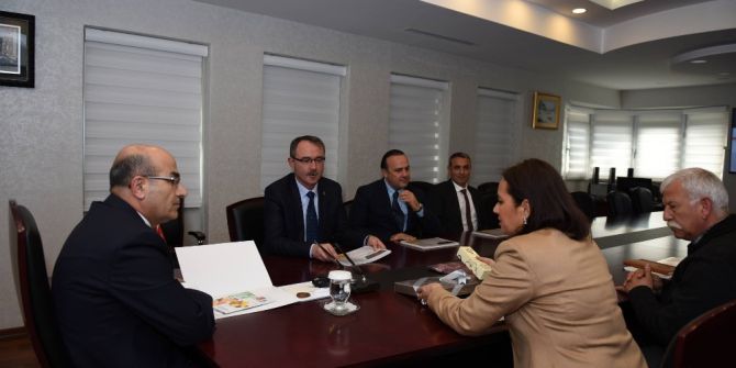 Adana’da Turunçgil Merkezi Kuruluyor