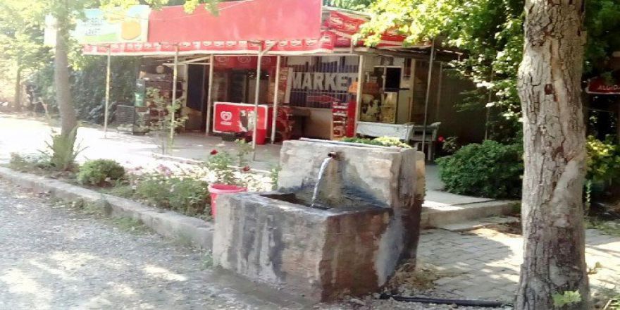 Marketten Ekmek, Bahçeden Domates Ve Biber Almışlar