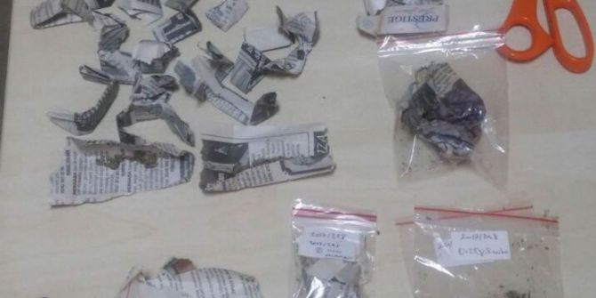 33 Paket Bonzai İle İlgili 3 Kişi Serbest