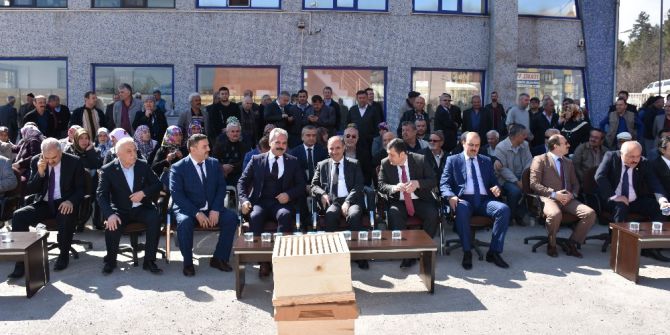 Karabük’te Çiftçilere Fidanlar Ve Arısız Kovan