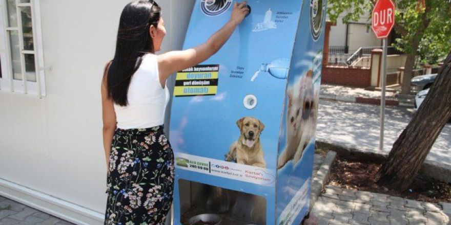 Kartal Belediyesi Sokak Hayvanlarını Unutmadı