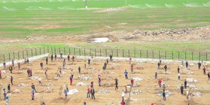 Fidan Dikim Kampanyasında Hedeflenen Sayının 2 Katına Ulaşıldı