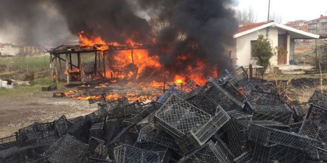 Kamelya Yangını Korkuttu