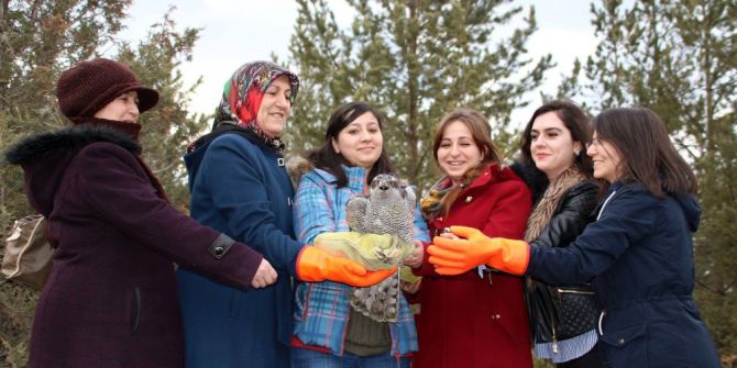 Tedavisi Tamamlanan ‘Çakır’ı Doğaya Kadınlar Salıverdi