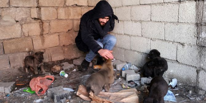 Ağrı’da Sokağa Bırakılmış Yavru Köpeklere Sahip Çıktı