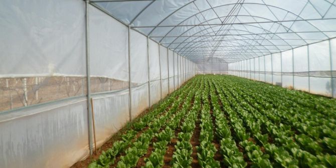 Manisa Büyükşehir’den Çiftçilere Sera Desteği