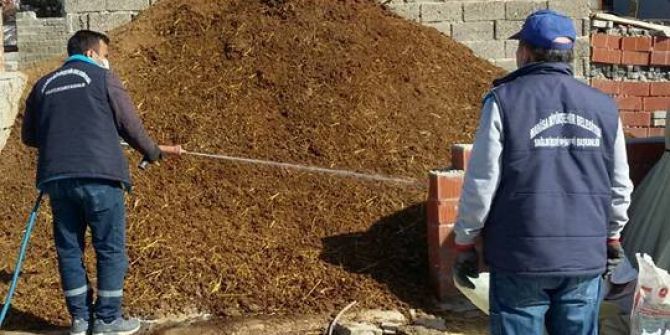 Manisa’da Haşereyle Mücadele Başladı