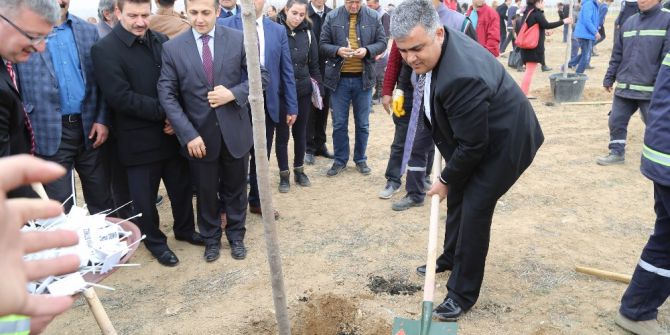 Ereğli’de 15 Temmuz Şehitleri İçin Hatıra Ormanı Oluşturuldu