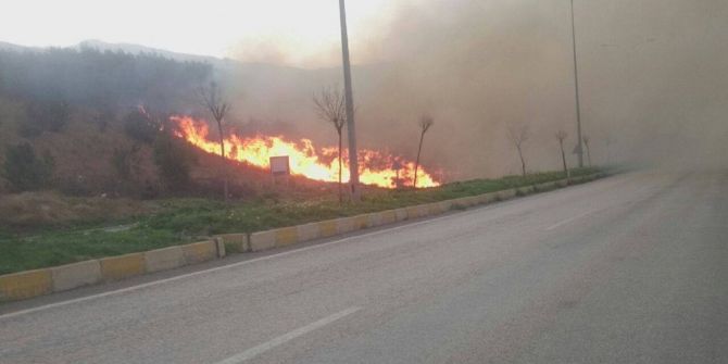 İskenderun’da Orman Yangını