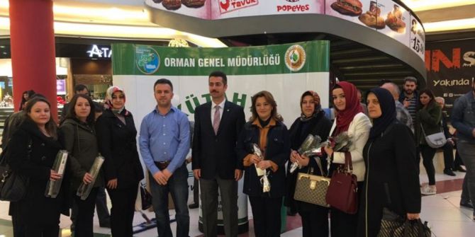 Kütahya’da Kadınlara Bin 71 Fidan