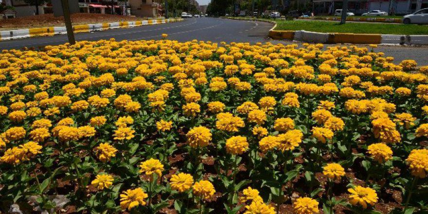 Diyarbakır 600 Bin Çiçekle Donatıldı
