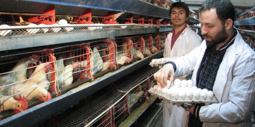 Uü Ziraat Fakültesi’nden Uygulamalı Zirai Eğitim