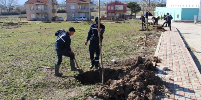 Biga’da 3 Ayda 7 Bin Ağaç Dikiliyor