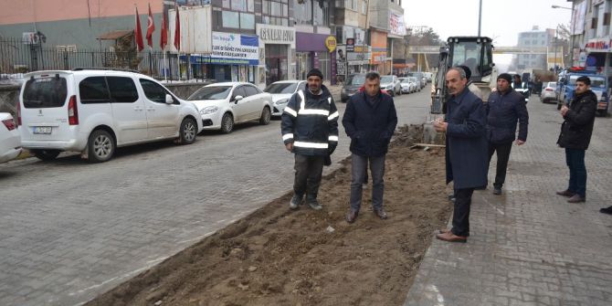 Muş’ta Kış Tahribatları Onarılıyor