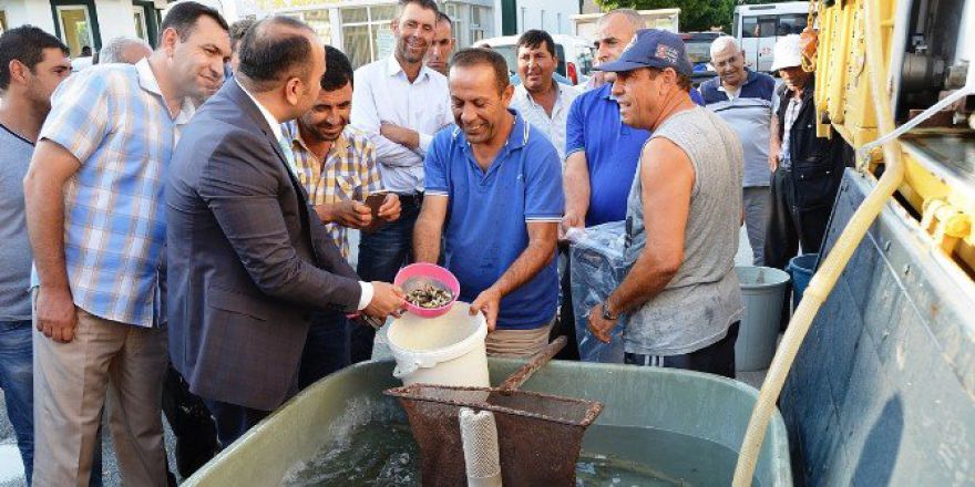 Afyonkarahisar’daki Göl Ve Göletlere 130 Bin Adet Balık Bırakıldı