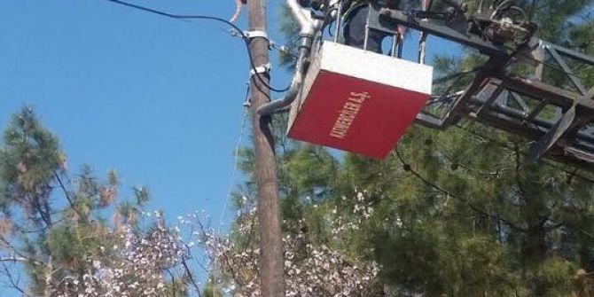 Elektrik Direğinde Mahsur Kalan Kedi Kurtarıldı
