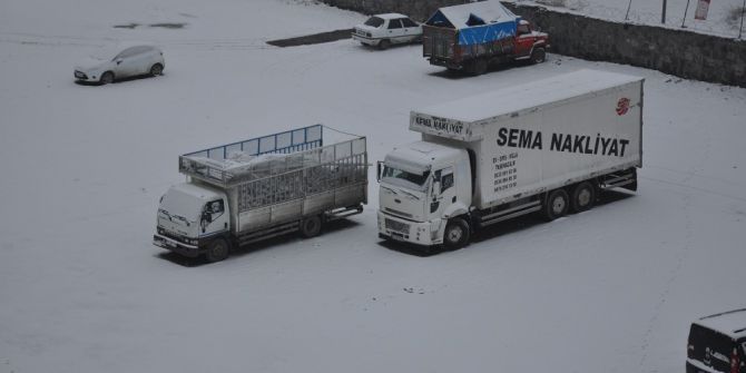 Kars Yeninden Kara Teslim