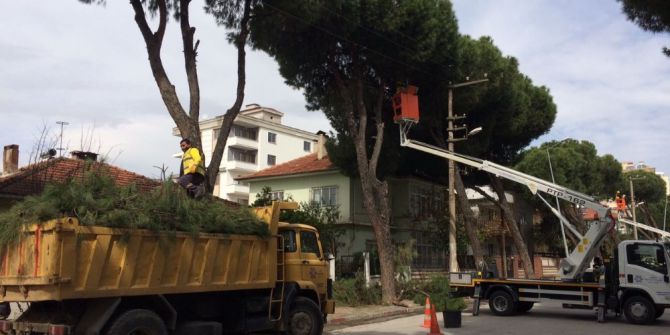 Büyükşehir Belediyesinden Bahar Temizliği