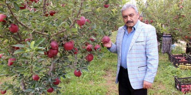Karaman Elmasında 500 Bin Ton Rekolte Beklentisi