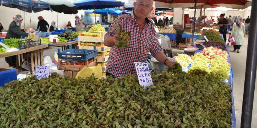 Bilecik’te Yaş Fındık Tezgahlardaki Yerini Aldı