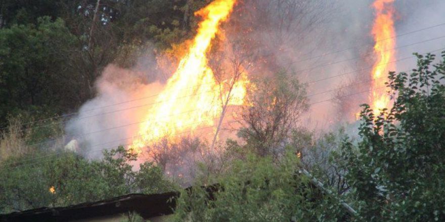 Mudurnu’da Orman Yangını