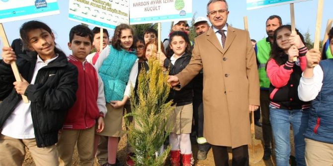 Gebze’de Bin 600 Fidan Toprakla Buluştu