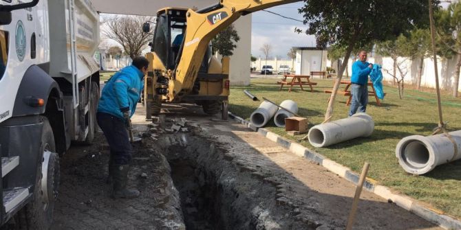 Barınak Hayvanlarının Can Güvenliği Kontrol Altında