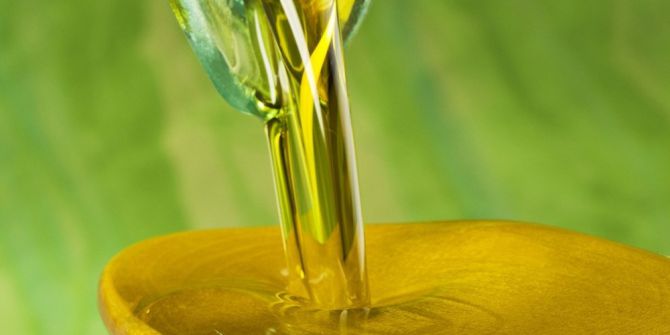 Türk Zeytin Ve Zeytinyağı Uzakdoğu Yolcusu